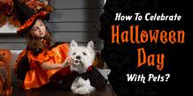 How To Celebrate A Safe Halloween With Your Pets? | Ourpetwarehouse