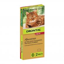 Drontal Allwormer for Cats and Kittens|Cat Worming Tablets & Wormers Online