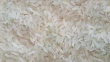 Short Grain Rice Exporter, Supplier, Manufacturer in India