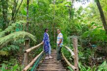 Fireflies mantled Nights and Misty Mornings - A different Coorg