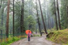 Experiencing Pahalgam - An Unconventional Guide