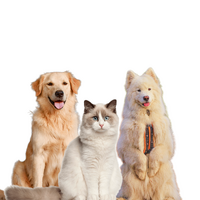 Ashario Pets Store- Best Pet Store in North York and GTA