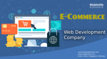 E-commerce Website Development services