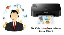  How to Fix White Lining Error in Canon Pixma TS6020?  