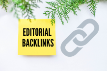 Guide Editorial Backlinks