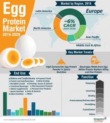 Egg Protein Market to Reach a Valuation of US$ 1.8 Bn by 2029