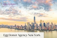 Egg Donor Agency New York