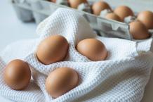 The egg diet plan - how to lose weight on an egg diet?