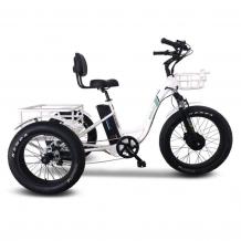 Home - Eco Mobility Ride