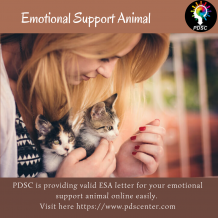 Consult therapists to register emotional support animal | ESA Letter | PDSC