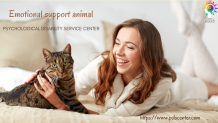 Why an emotional support animal is your best companion? - PDSC