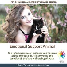 A love bond between humans and emotional support animals | ESA Letter | PDSC - PDSC