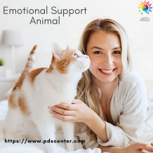 How can you save your emotional support animal from COVID-19? - PDSC