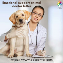 Importance of ESA letter while carrying an emotional support dog - PDSC