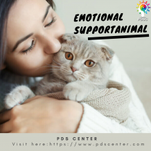 Steps to follow for registering an emotional support animal | ESA Letter | PDSC - PDSC