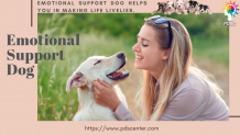 Why do psychologist recommend ESA? | Emotional support animal | PDSC