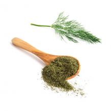 Dill10.com – Dill: Properties, benefits and contraindications