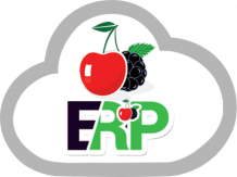 Enterprise Resource Planning POS Module - ERP POS Module | CherryberryERP