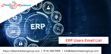 ERP Users Email List | Data Marketers Group