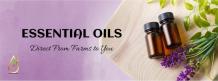 Wholesale Essential Oils Supplier and Manufacturer