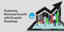 Exploring Revenue Growth with Drupal&#039;s Roadmap | Comprehensive Drupal Blog Guide