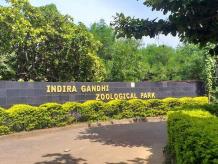 Exploring The Indira Gandhi Zoological Park, Andhra Pradesh ~ Nomad Traveller