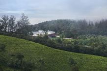 Hotels and Resorts in Ooty