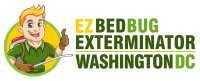 Bed Bug Exterminator in Washington DC | Treatment &amp; Removal Extermination