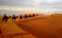 Book Taxi, Car &amp; Cab rental services in Jaisalmer at lowest Price 