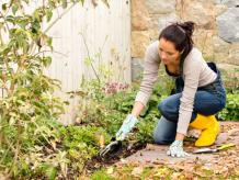6 Tips Prepare Your Garden for the Winter Season