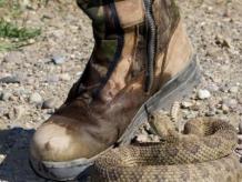 Wear A Snake Boots For Hunting Trip &#187; Dailygram ... The Business Network