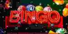 Where and How To Find Best New UK Bingo Sites