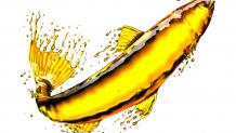 Best Fish Oil Supplements for Overall Health – Our Top Picks