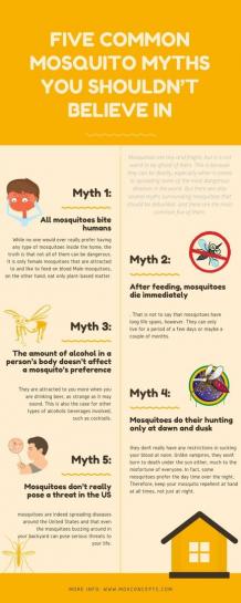 Five Common Mosquito Myths You Shouldn’t Believe In