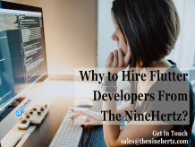 Hire flutter developer