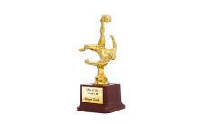 Buy Football Trophy - THC1218 Online at Best Price