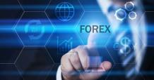 Comprehensive Guide to Forex Trading for Beginners | SS Viewers