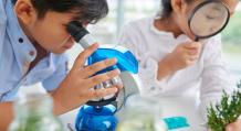 SmartLab | Biology, Chemistry Tuition &amp; Physics Tuition Centre Singapore