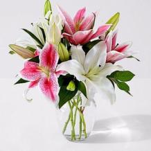 Send Flowers to USA Online | Flower Delivery USA |1800GiftPortal
