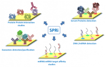 Surface Plasmon Resonance Imaging (SPRi) Service - Creative Peptides
