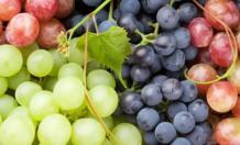 Fresh Grape Exporters, Packers in South Africa - Profreshsa