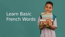 Understanding Basic French Words and Phrases to Start Conversation