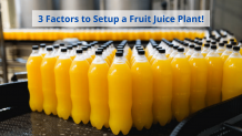 Achieve success in fruit juice plant business in 2021