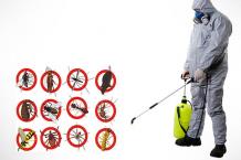  Opt to Best Pest Control Service for warehouse in India