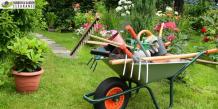 How to Hire a Garden Clearance Company in Sutton – Thing to
