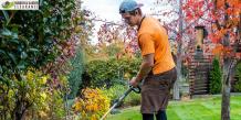 Garden Clearance Croydon Tips for summer and spring &#8211; Rubbish and Garden Clearance