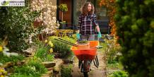 Professional Garden Clearance Services for Croydon Residences