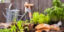 Shape Up Garden with Garden Clearance Services in Croydon