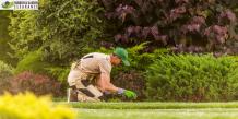 Restore Garden&#039;s with Garden Clearance Company in Croydon