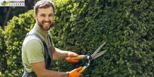 Professional Garden Clearance in Croydon: Unlock Hidden Beauty